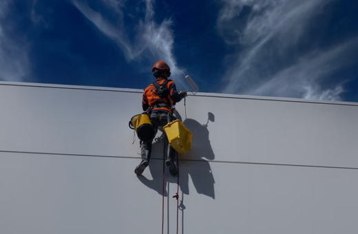 Painters